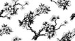 © Irtiko - Black and white cherry blossom vector illustration on transparent background