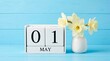 © DailyLens Studio - May 1st date on a white wooden calendar beside white spring flowers on a blue background.