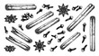 © Tanmoy - Hand drawn illustration set of cinnamon sticks star anise and cloves spice collection