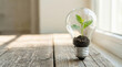 © terdevil23 - Light Bulb with Small Green Plant Growing Inside