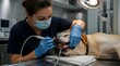 © edo - Veterinarian performs dental procedure on dog using specialized tools wearing protective gear clinical setting