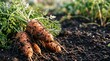 © Jittiwat - Healthy vegetable roots held above living soil