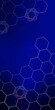 © LariBat - Deep blue background with golden hexagonal honeycomb grid. Vertical graphic for blockchain pitch deck, crypto wallet app UI or fintech corporate presentation