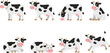 © AmajST - Cute spotted cows character set standing walking sleeping grazing and running isolated vector illustration