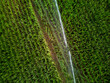 © Studio Sincère/Stocksy - Rice Fields During Irrigation in a Rural Area