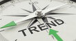 © YUSRIZAL - Elegant Compass Close Up Pointing to Trend In Bold Letters