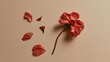 © CYBERPINK - Flat lay of a single red flower with a long stem on a beige background. the flower is in the center of the image and is surrounded by several petals that are scattered around it.