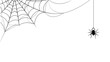 © Otillie - Black spider hanging from a corner spiderweb silhouette