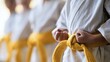 © Janda - Group of martial arts students wearing yellow belts during training.