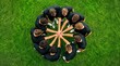© Viktoryia - Overhead view of eleven male soccer players in black sportswear standing in a circle on green grass with hands stacked together in the center before a team match or training session
