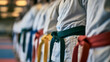 © Oleksandr - Close up of martial arts practitioners in white uniforms lined up with different colored belts representing rank and skill level in a dojo or gym setting ready for training and practice session today