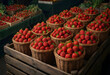 © Pixel-Shot - Local food market and organic farming, fresh strawberries in woven baskets for sale at a farmers market stall with seasonal harvest and healthy produce