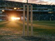 © Generative AI - cricket wickets on green field at sunset stadium