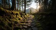 © Wasis - A stone path winds through a mossy forest toward a mountain, bathed in sunlight