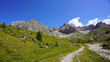© Monika - Ein weites alpines Tal in den Lienzer Dolomiten / Gailtaler Alpen erstreckt sich vor markanten, felsigen Gipfeln unter einem klaren blauen Himmel.