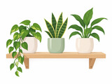 Domowa dżungla i dekoracja wnętrz, minimalistyczna drewniana półka z trzema roślinami doniczkowymi, ilustracja flat design