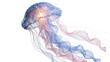 © Jn - Delicate blue and pink fabric jellyfish lamp glowing from within, isolated on transparent background