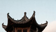 © Abherka Studio - Traditional Asian pagoda roof with intricate wooden carvings and sweeping curved eaves, set against a soft overcast sky, emphasizing cultural heritage