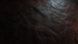 © BlackBridge Media - Dark Brown Leather Texture Background with Soft Sheen