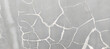 © Dwi - old paper texture background