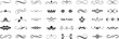 © STOCK_wiN - Elegant calligraphy flourishes and ornamental text dividers in minimalist black vector format