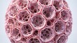 © PicsPro - 3D render of microscopic alveoli structure of human lung tissue with respiratory system human lungs cellular structure medical illustration alveolar sacs human body gas exchange medical imaging