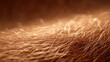 © Delfi BRILink - Close-up of Brown Hair Strands with Soft Lighting and Shallow Depth of Field