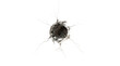 © Emdadul - Bullet hole in a white wall isolated on transparent background