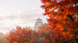 © Kin no Hikari - Japanese castle framed by maple tree in autumn foliage, scenic heritage landscape with warm red leaves and soft morning light