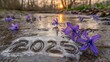 © matoya - Frozen 2025 Year with Purple Flowers on Icy Surface at Sunset