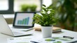 © Thares2020 - A modern office desk with a potted plant  laptop displaying charts  and printed business reports on a clean white surface