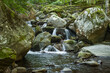 © PgP - Il fiume Dardagna in montagna con le sue cascatelle e i riflessi del bosco