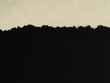 © Michał Kiełbicki - Torn Paper Edge With Black and Beige Texture Background for Design and Graphic Projects