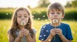 © Angavlan - Children blowing dandelion seeds in golden sunlight field, two kids with dandelions enjoying nature. Children playfully making wishes as they blow dandelion seeds, capturing joyful moments outdoors.