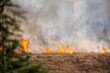 © onderortel - Flames and Smoke Rising from an Urban Grassland Fire. Flames and Smoke from a Fire in Dry Urban Vegetation. Wildfire Burning Through Dry Grass in an Urban Area.