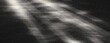 © enamulhaque200 - Dynamic Motion Flow Background with Soft Light Streaks Grain Texture and Abstract Monochrome Movement Effect