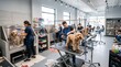 © milenofrigatto - Professional Dog Grooming Salon with Multiple Groomers and Dogs Being Washed and Dried