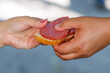 © schankz - Two hands offer a slice of meat on bread