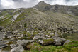 © Holger W. Spieker - Geröllhalde am Dorfer See in Osttirol in den Alpen 3