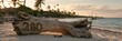 © Anat art - A driftwood sign with the year 2027 rests on a beach. The tropical scene has warm coastal light shining on the sand and sea.