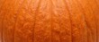 © Xenia - Close up texture of ribbed orange pumpkin skin. Smooth vertical grooves on ripe squash rind background