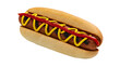 © Cian - Isolated delicious grilled hot dog in a bun with yellow mustard and red ketchup