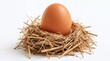 © Generative AI - Brown chicken egg resting in straw nest