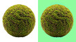 © Design Planer - Natural green forest moss sphere on background