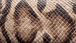 © Koralis - Close up view of brown and black snake skin texture with patterned geometric scales
