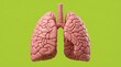 © Nurbaity - Anatomical model of human lungs and trachea
