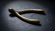 © Kenny - A brass wishbone lucky charm resting on a dark slate stone background for Thanksgiving tradition