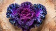 © Pete - Close up of purple kale leaf on textured stone background. Vibrant ornamental cabbage shows wavy edges, deep violet colors. Fresh organic vegetable plant provides natural pattern for healthy food