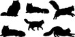 © Creativejulia - Fluffy Longhair Cat Silhouettes Vector Set of Persian and Maine Coon Domestic Pets in Sitting, Walking and Jumping Poses
