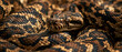 © Jan - A captivating close-up of a python or boa snake's patterned scales and distinct head, showcasing the intricate details and natural beauty of its skin in warm earthy tones and dark markings.